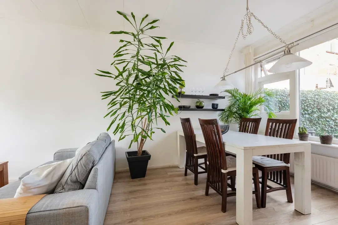 Keuken van een woning in Groningen