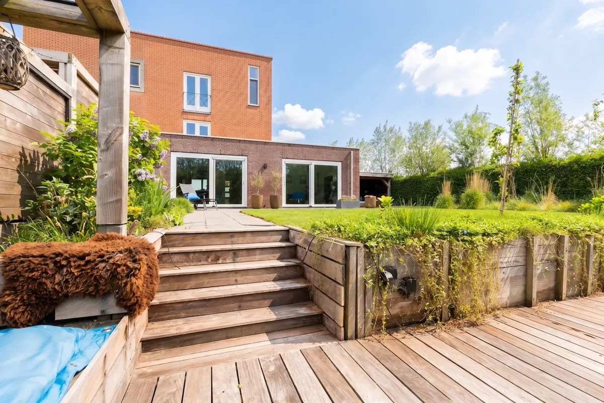 Dezelfde tuin onder een strakblauwe lucht