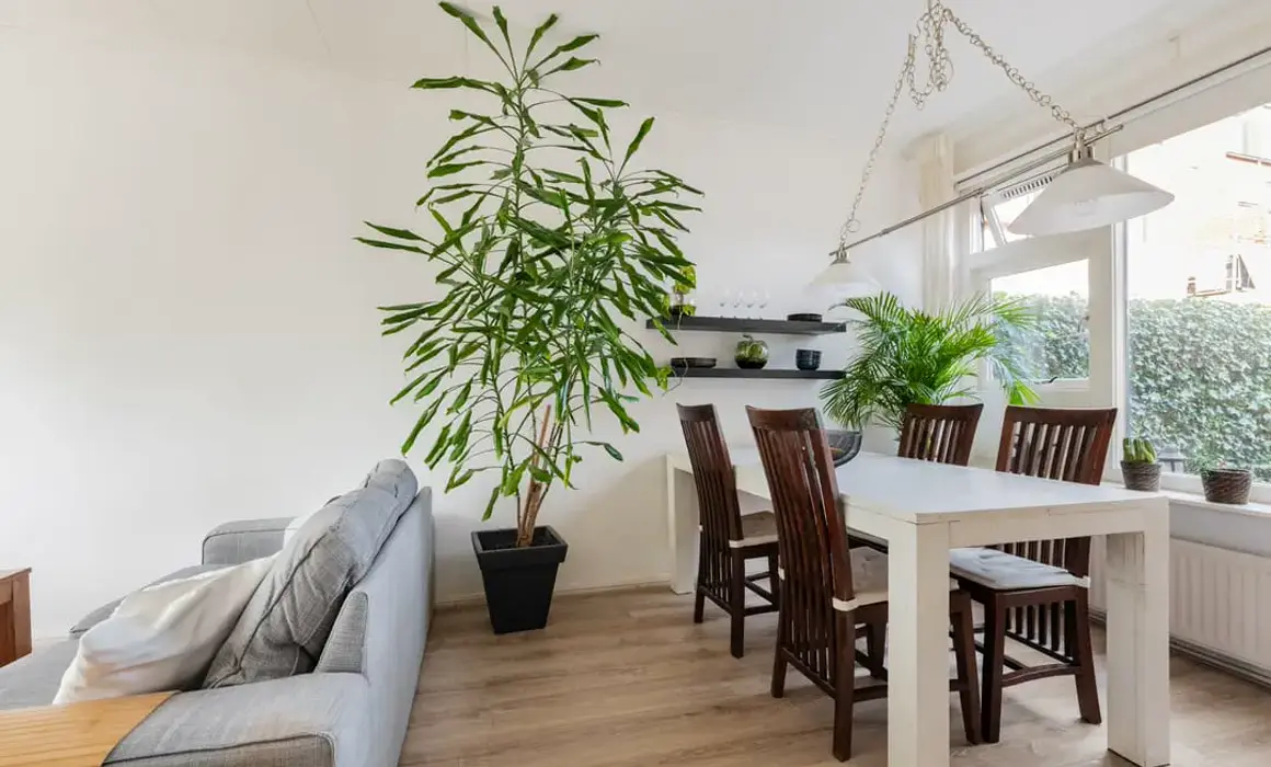 Plattegrond en interieur van een woning in Groningen